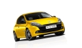  technical specification:  RENAULT RENAULT Clio RS Cup